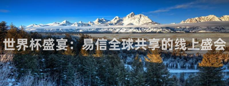联赛杯直播：世界杯盛宴：易信全球共享的线上盛会