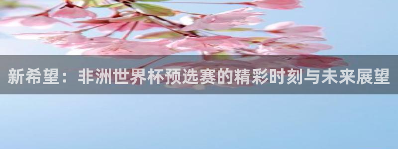 世界杯对阵图2026：新希望：非洲世界杯预选赛的精彩时刻与未来展望