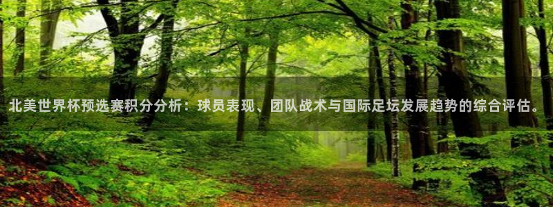 2026年足球世界杯赛程时间表：北美世界杯预选赛积分分析：球员表现、团队战术与国际足坛发展趋势的综合评估。
