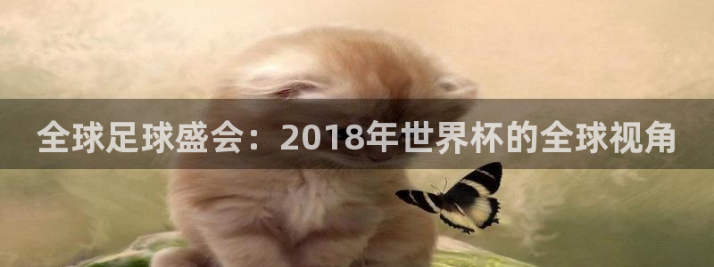 足球世界杯时间：全球足球盛会：2018年世界杯的全球视角