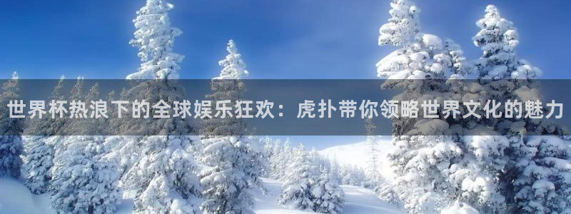 英足总杯直播：世界杯热浪下的全球娱乐狂欢：虎扑带你领略世界文化的魅力