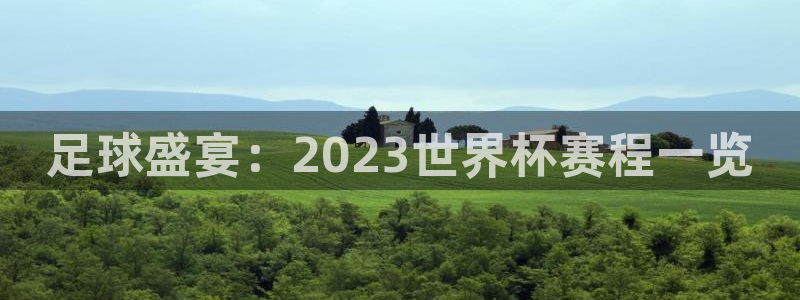 2006年世界杯：足球盛宴：2023世界杯赛程一览