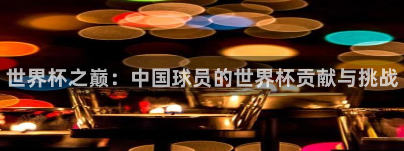 2026世界杯买球：世界杯之巅：中国球员的世界杯贡献与挑战