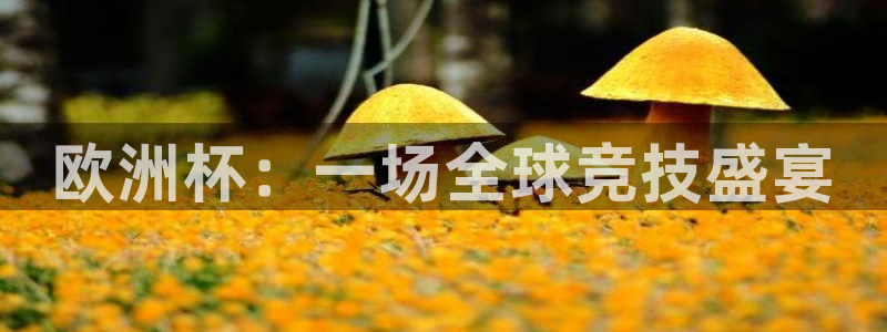 世界杯亚洲区预选赛积分榜：欧洲杯：一场全球竞技盛宴