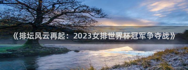 2026世界杯直播：《排坛风云再起：2023女排世界杯冠军争夺战》